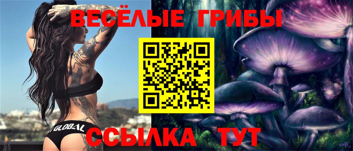 Псилоцибиновые грибы прущие грибы Карабулак